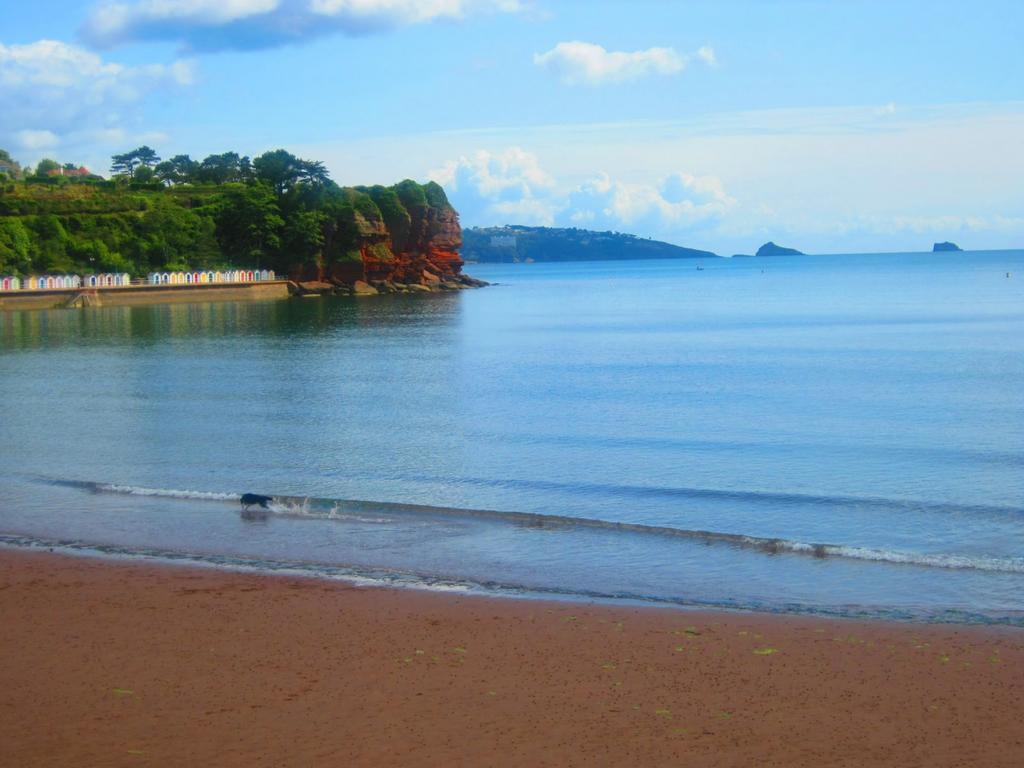 The Wentworth Guest House Paignton Esterno foto