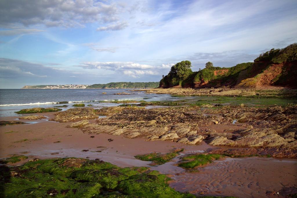 The Wentworth Guest House Paignton Esterno foto